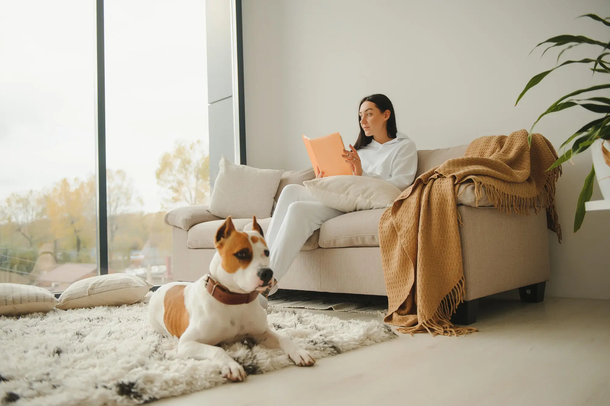 Pets and Renting: The Ultimate Guide for Prescott, AZ Landlords